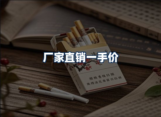 专业团队办公环境